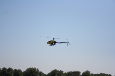 IMG_847411.jpg