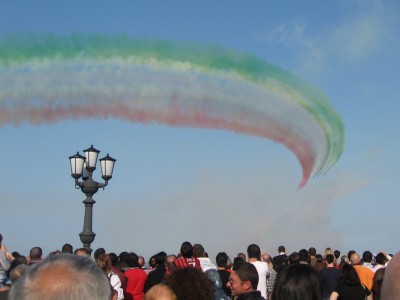 IMG_8203_cr.jpg