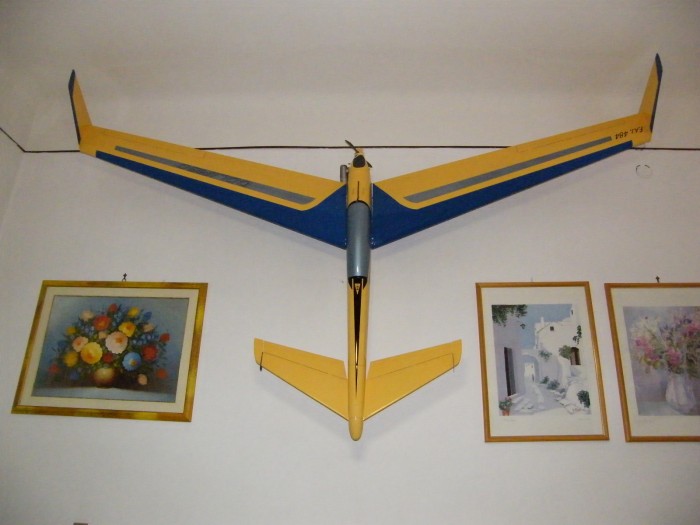 Aereo Tonino 003.JPG