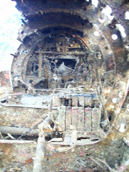 11.JPG