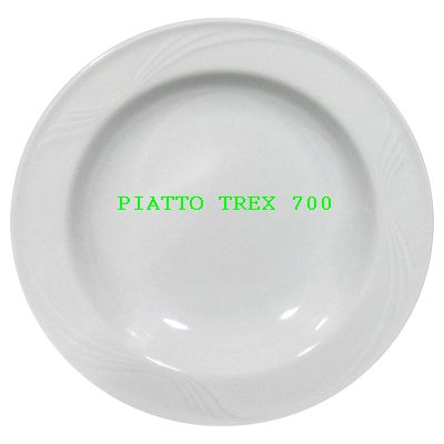 Piatto trex 700.jpg