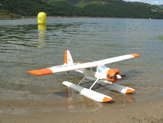 Beaver idro.jpg
